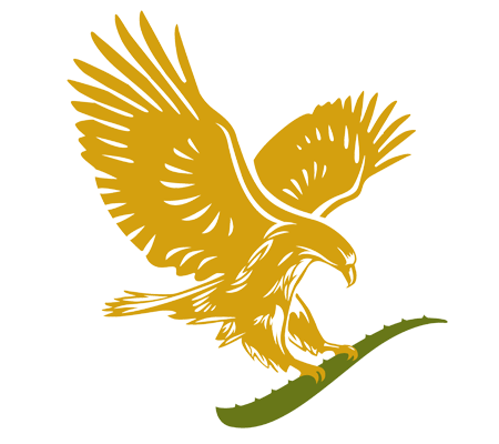 brand-logo